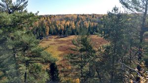 Hiking trail